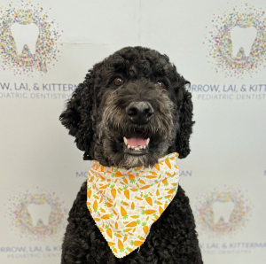 Pediatric Dentistry Tulsa Headshots Jeff