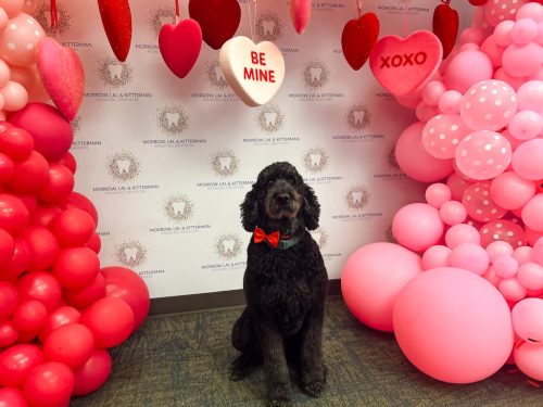 371 Tulsa Pediatric Dentistry